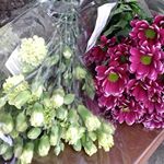 Profile Picture of Maxwell Phillips (@maxwell_phill) on Instagram