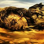 Profile Picture of Amber Blakeney (@pale__pocahontas) on Instagram