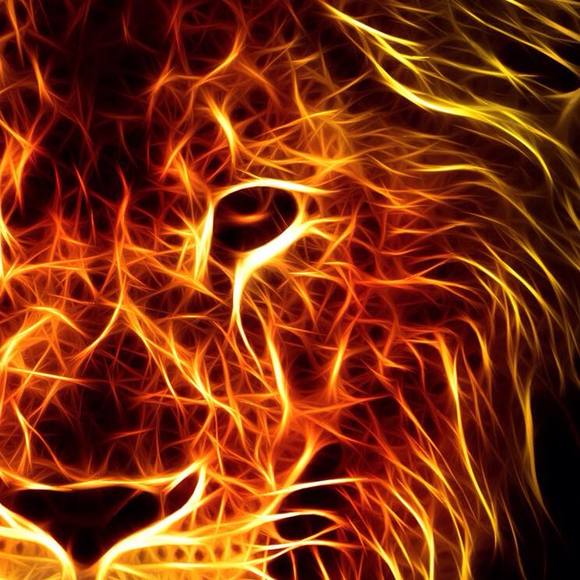 Profile Picture of Kody Earley (@kodyearley12) on Poshmark