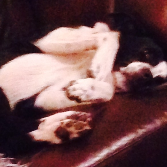 Profile Picture of Abbey Bauch (@abbeypollock) on Poshmark