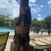 Profile Picture of Tara Castleberry (@tara.castleberry.16) on Facebook