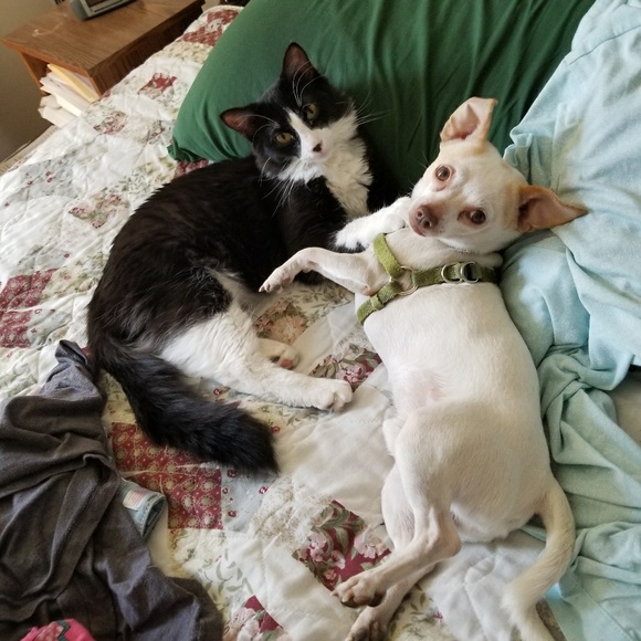 Profile Picture of Lea Bean (@luvmeorhatene) on Poshmark