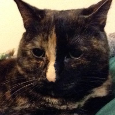 Profile Picture of Samuel Sides (@Sides176) on Twitter