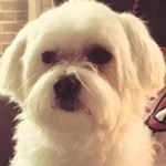 Profile Picture of Ruby  Liang (@ruby.liang.125) on Instagram