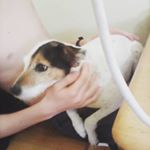 Profile Picture of Elaina Foster (@ellie_foster01) on Instagram