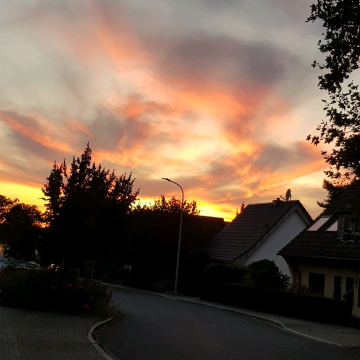 Profile Picture of Kim Schaaf (@kimschaaf4) on Tiktok