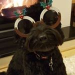 Profile Picture of Gillian Judge (@gillyj_21) on Instagram