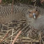 Profile Picture of Bill Warnock (@Bill-Warnock) on Facebook