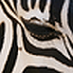 Profile Picture of José David Díaz García (@david díaz (huelva)) on Flickr