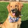 Profile Picture of Gregory D Pitcher (@Gu) on Tiktok