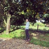 Profile Picture of Darren Easton (@@darreneaston) on Tiktok