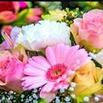 Profile Picture of Jack Martin (@sonia.llewellyn.526) on Instagram