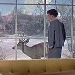 Profile Picture of Bannock Marshal (@bannock_marshal) on Instagram