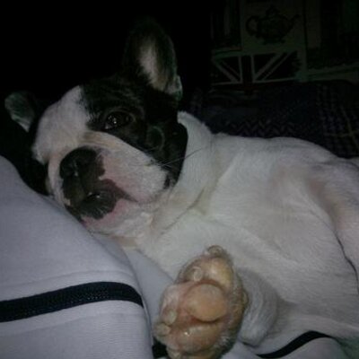 Profile Picture of ANDREA PREDA (@predone82) on Twitter