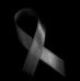 Profile Picture of Steli Vinca (@steli.vinca) on Facebook