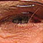 P Tim Richard - Flickr Profile Picture of P Tim Richard (@richard_pt) on Flickr