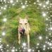 Profile Picture of Brian Shallis (@brian.shallis.58) on Facebook
