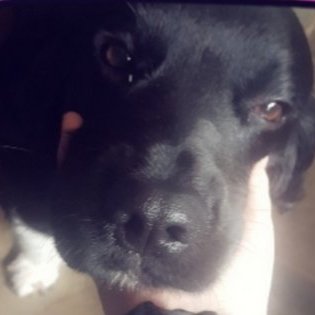 Profile Picture of Tilly Clark (@TillyClark17) on Twitter