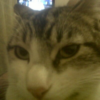 Profile Picture of Thomas Alejandro B (@Thomy_B) on Twitter