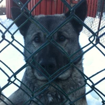Profile Picture of Vilde Kvinlaug (@vokvin) on Twitter