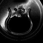 Profile Picture of Adrián Echeverriaga (@adrianecheverriaga79) on Instagram