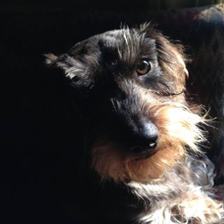 Profile Picture of David Wiegand (@david.wiegand.144) on Facebook