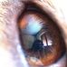 Profile Picture of Cecca Cecca (@cecca.cecca.353) on Facebook