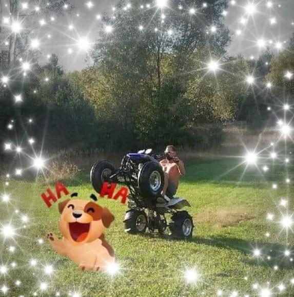 Kenny Reynolds - Poshmark Profile Picture of Kenny Reynolds (@wheelie7007) on Poshmark