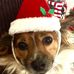 Profile Picture of Lydia Ramirez (@lydia.ramirez.3979) on Facebook