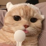 Profile Picture of Monica M. Hernandez (@monicamuzada) on Instagram