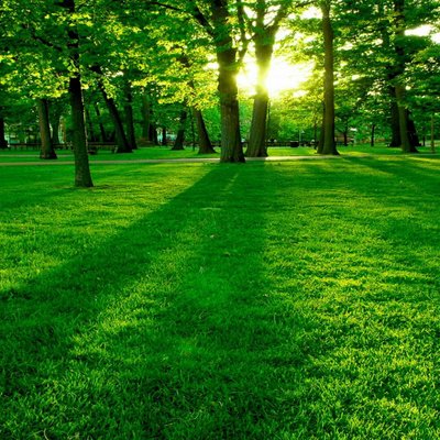 Profile Picture of Ping Xia (@xtjsnowdrop) on Twitter