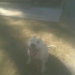 Profile Picture of Michael Luera (@michaelluera) on Instagram