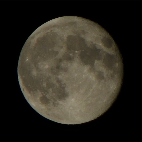 Profile Picture of Rebecca Havens (@msbhavens1) on Poshmark