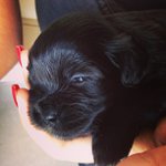 Profile Picture of Randall Ruddy (@winnortes) on Instagram