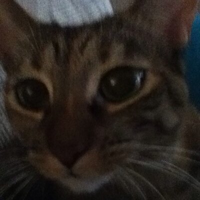 Profile Picture of Richard Kasparian (@Richad36) on Twitter