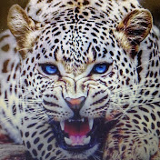 Profile Picture of Carl Anderson (@carlanderson4386) on Youtube