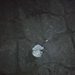 Brianna Levi - Facebook Profile Picture of Brianna Levi (@Brianna-Levi) on Facebook