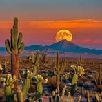 Profile Picture of Jhon Becerril (@jhon.becerril) on Facebook