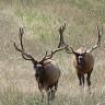 Profile Picture of Reid Campbell (@reidcampbell8) on Tiktok