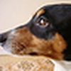 Profile Picture of Vera Lucia de Freitas (@Vera Lucia de Freitas) on Flickr