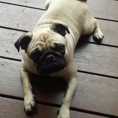 Manda James - Twitter Profile Picture of Manda James (@mandajames03) on Twitter