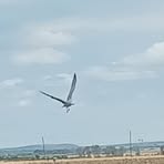 Profile Picture of James Awen (@James-Awen) on Facebook