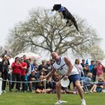 Profile Picture of Lawrence Frederick (@discconnectedk9s) on Instagram