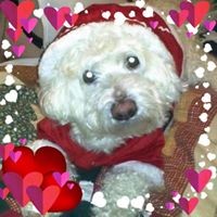 Profile Picture of Lucie Melo (@lucie-melo-1) on Quora