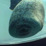 Profile Picture of Eddie Zhao (@ez.5525) on Instagram