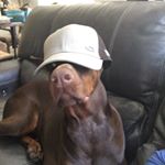 Profile Picture of Brian Klem (@brian.klem) on Instagram