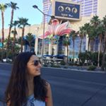 Profile Picture of Júlia Toledo M (@jutoledo___) on Instagram