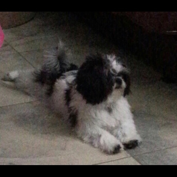 Profile Picture of Adelfa Garza (@zumba66) on Poshmark