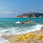 Profile Picture of Mayela Chilcon Goicochea (@mayela.chilcongoicochea) on Facebook