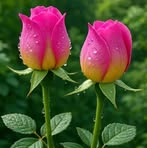 Profile Picture of Clifford MacClean Dube (@Clifford-MacClean-Dube) on Facebook